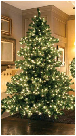 Тости на корпоратив: короткі своїми словами