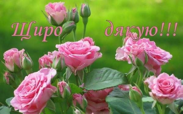Слова дякую за привітання з днем народження українською мовою