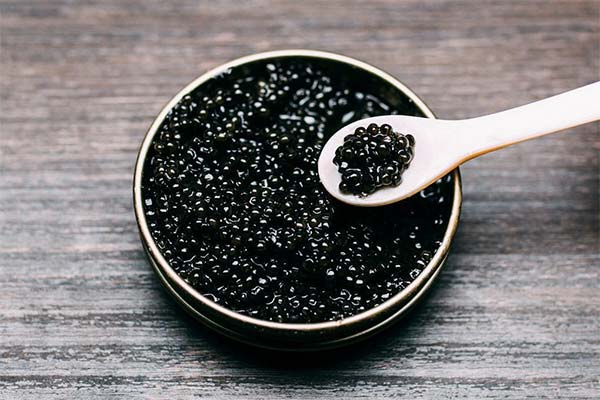 До чого сниться чорна ікра жінці чи чоловікові — 40 тлумачень із різних сонників.