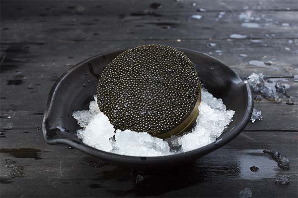 До чого сниться чорна ікра жінці чи чоловікові — 40 тлумачень із різних сонників.