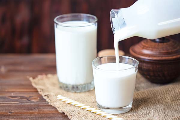 До чого сниться кефір жінці чи чоловікові - 35 тлумачень із різних сонників.