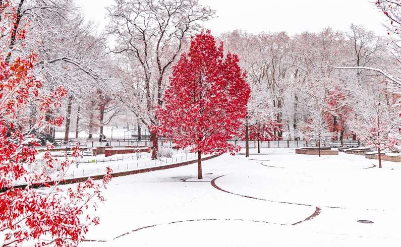 До чого сниться сніг білий чистий: жінці чи чоловікові, кучугури