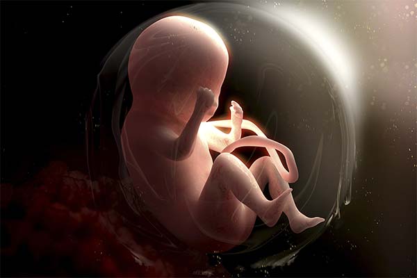 До чого сниться зародок людини чи тварини — 39 тлумачень із різних сонників.