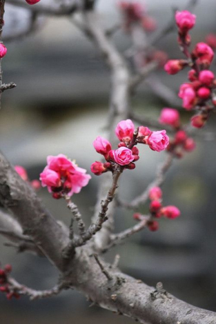 Кращі компліменти дівчині простими словами