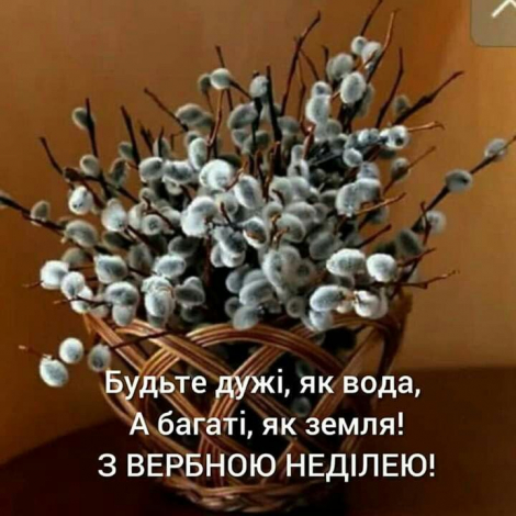 Щирі привітання з Вербною неділею у прозі, до сліз