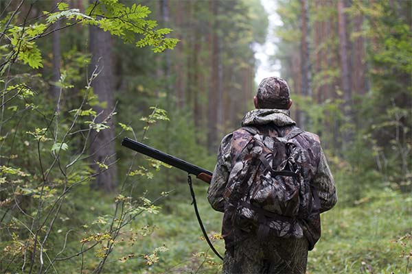 До чого сниться полювання чоловікові чи жінці — 47 тлумачень із різних сонників.
