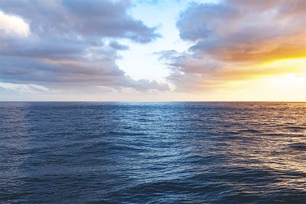 До чого сниться океан жінці чи чоловікові — 48 тлумачень із різних сонників.