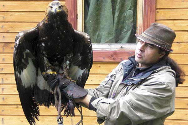 До чого сниться орел жінці чи чоловікові — 70 тлумачень із різних сонників.