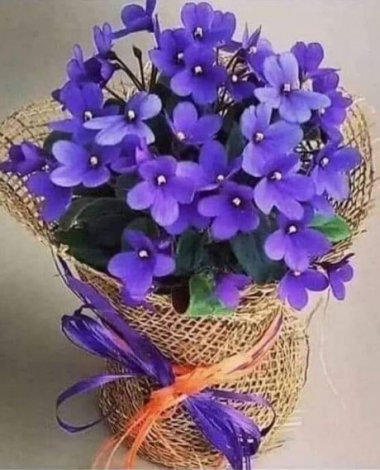 Красиві привітання на День зустрічі випускників у прозі