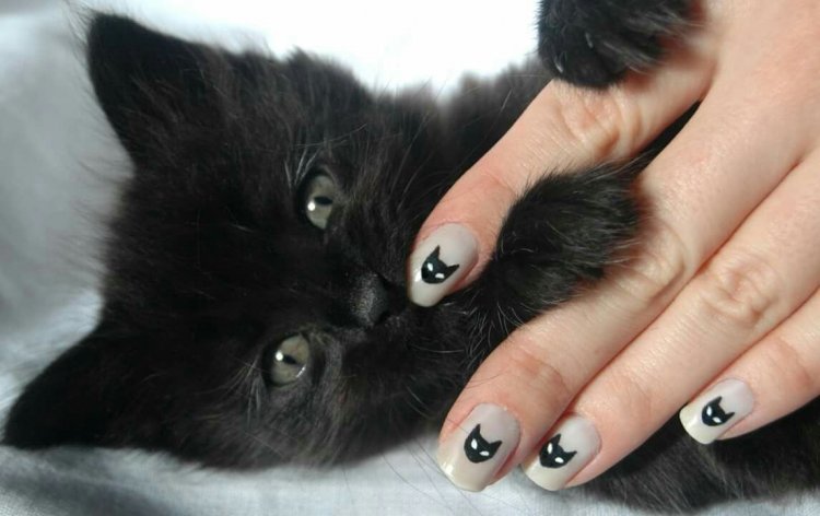 Французький манікюр з кішками