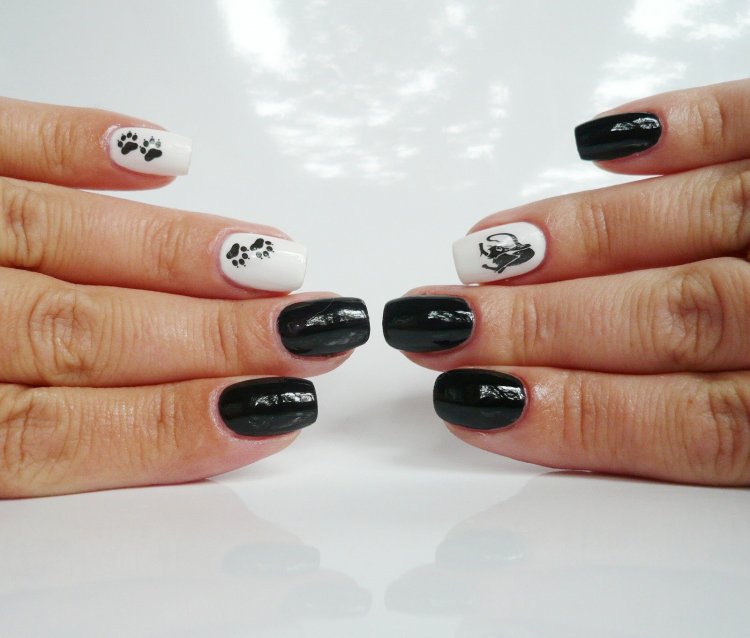 Котячий манікюр