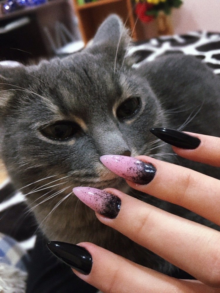 Манікюр на короткі нігті з кішками