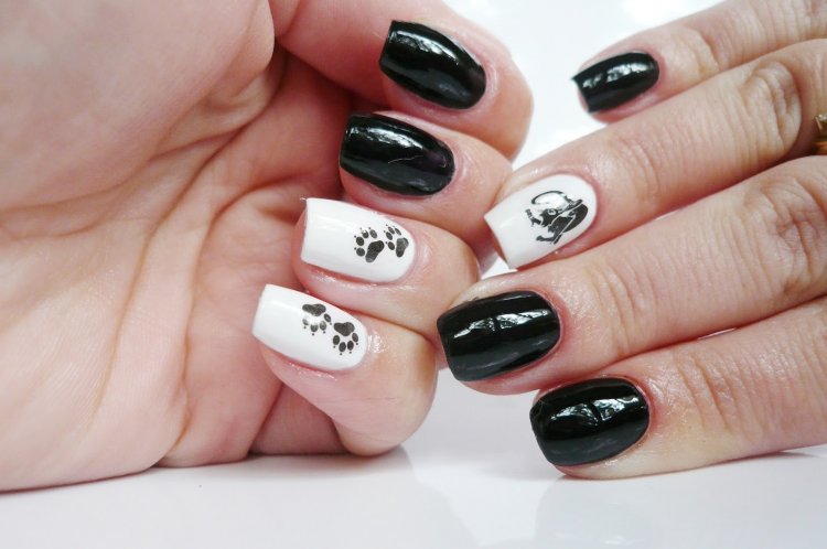 Манікюр із чорною кішкою