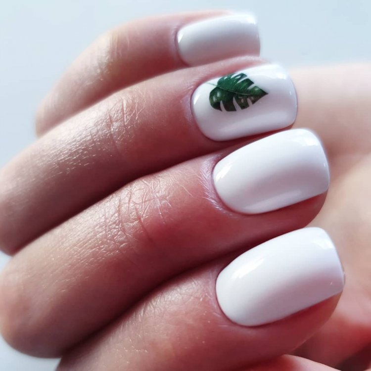 Лучшие идеи маникюра классика