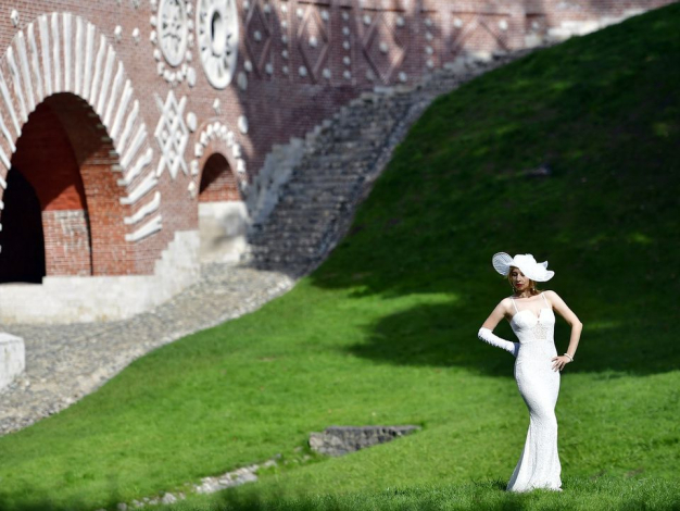 Риси, які є в усіх аристократів