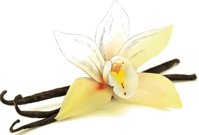 10 натуральних запахів для залучення чоловіка