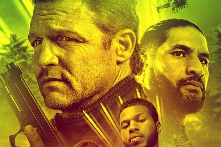 30 найкращих трилерів 2023 року, які варто подивитися