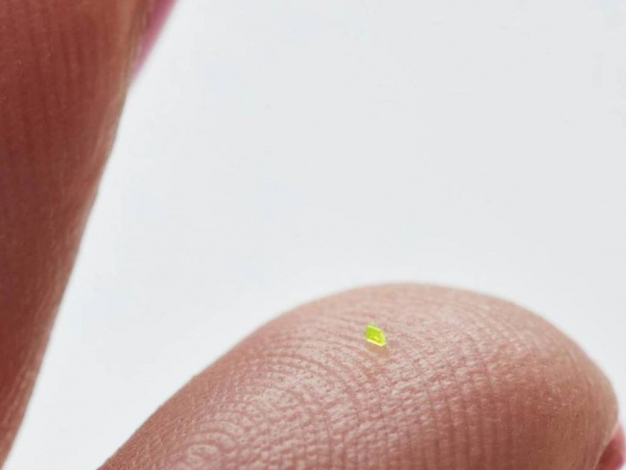 Найбільша мікроскопічна сумка світу Louis Vuitton