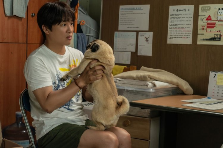 30 найкращих комедій 2023 року, які сподобаються всім