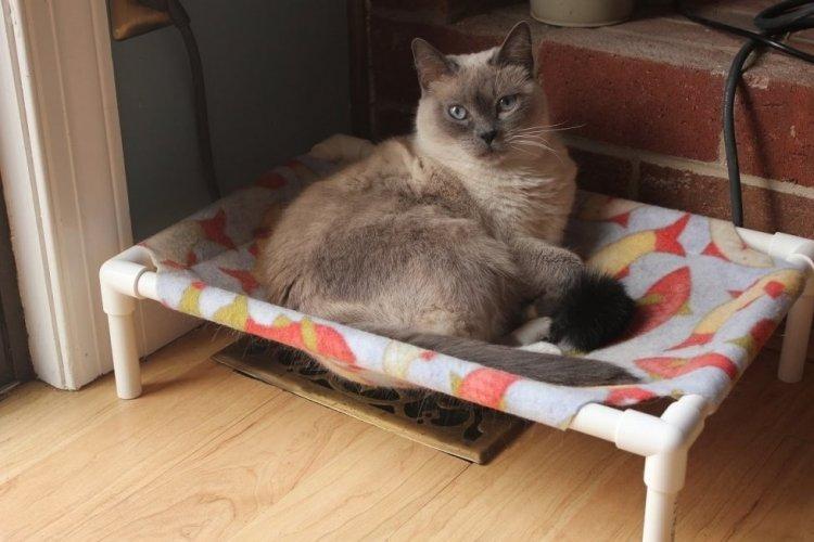 Лежанка для кішки своїми руками – 11 ідей як зробити, інструкція та майстер-класи (фото)