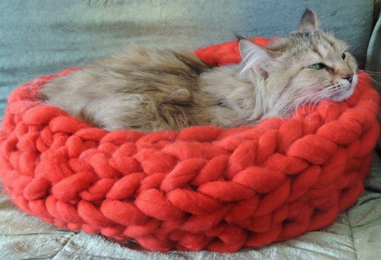 Лежанка для кішки своїми руками – 11 ідей як зробити, інструкція та майстер-класи (фото)