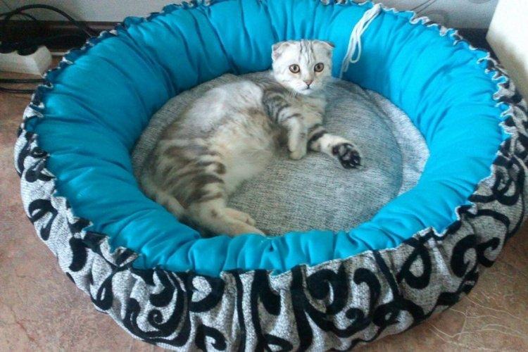 Лежанка для кішки своїми руками – 11 ідей як зробити, інструкція та майстер-класи (фото)