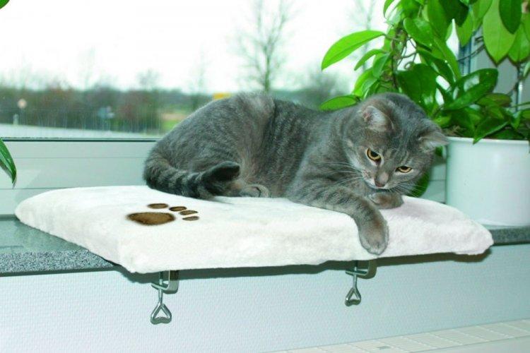 Лежанка для кішки своїми руками – 11 ідей як зробити, інструкція та майстер-класи (фото)