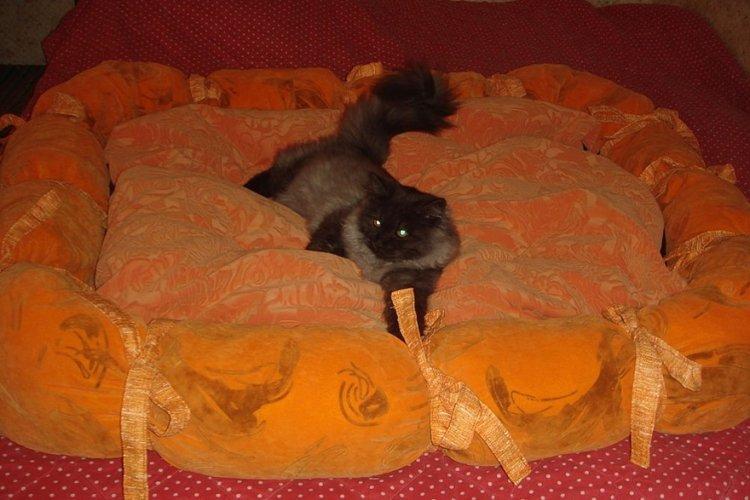 Лежанка для кішки своїми руками – 11 ідей як зробити, інструкція та майстер-класи (фото)