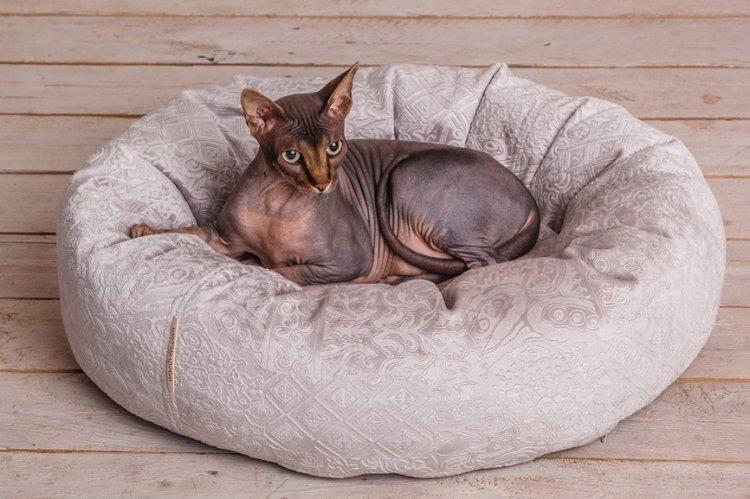 Лежанка для кішки своїми руками – 11 ідей як зробити, інструкція та майстер-класи (фото)