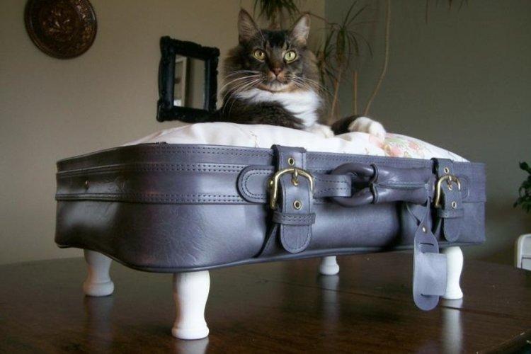 Лежанка для кішки своїми руками – 11 ідей як зробити, інструкція та майстер-класи (фото)