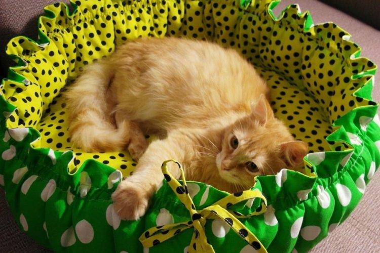 Лежанка для кішки своїми руками – 11 ідей як зробити, інструкція та майстер-класи (фото)