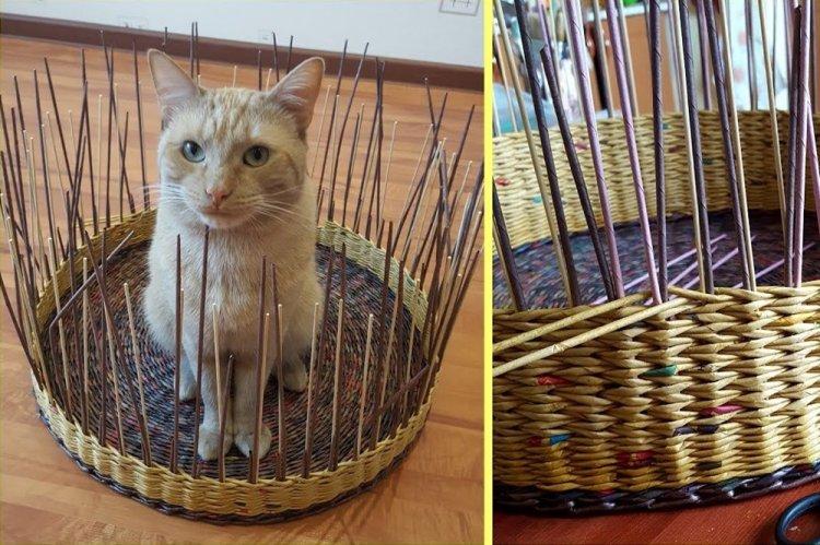 Лежанка для кішки своїми руками – 11 ідей як зробити, інструкція та майстер-класи (фото)