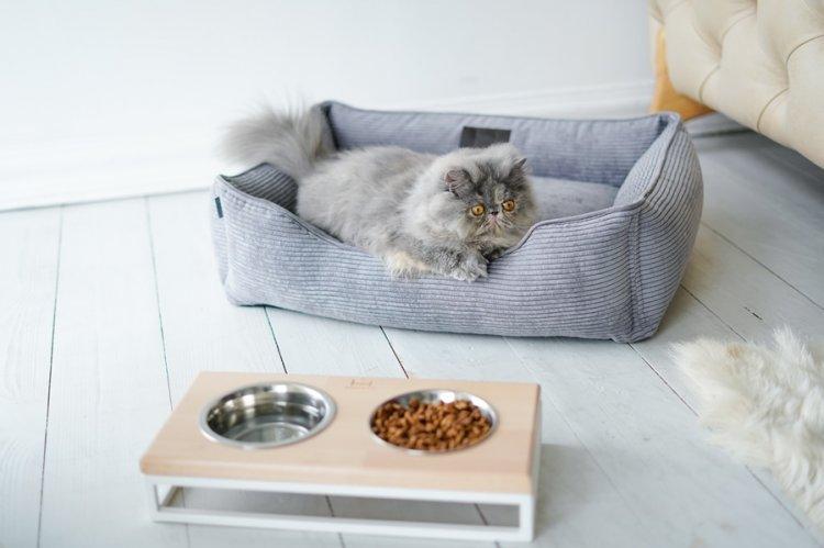 Лежанка для кішки своїми руками – 11 ідей як зробити, інструкція та майстер-класи (фото)