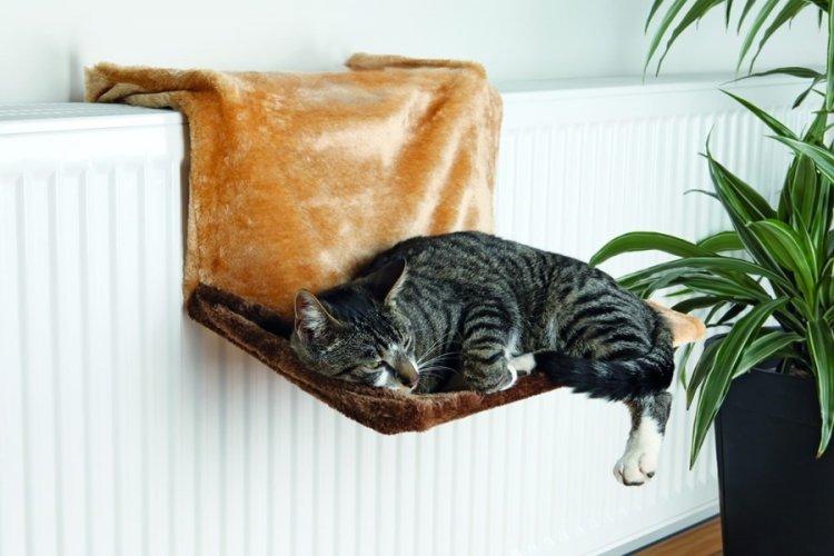 Лежанка для кішки своїми руками – 11 ідей як зробити, інструкція та майстер-класи (фото)