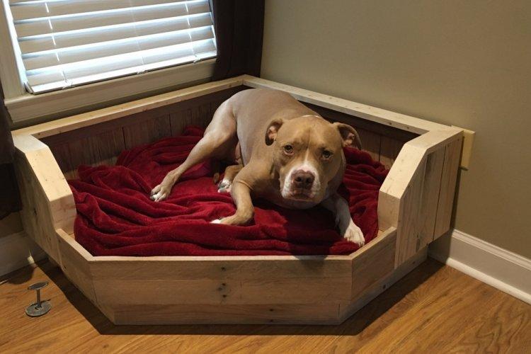 Лежанка для собаки своїми руками – 9 ідей як зробити, інструкція та майстер-класи (фото)