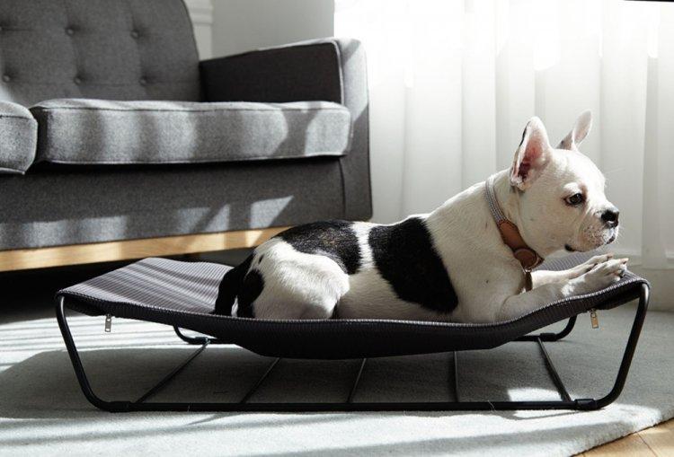 Лежанка для собаки своїми руками – 9 ідей як зробити, інструкція та майстер-класи (фото)