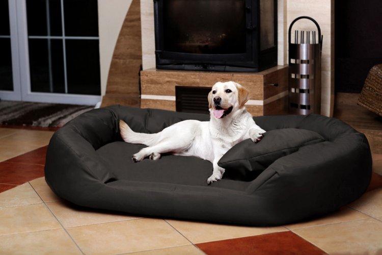 Лежанка для собаки своїми руками – 9 ідей як зробити, інструкція та майстер-класи (фото)