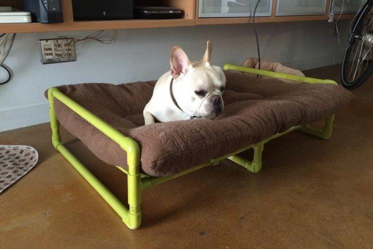 Лежанка для собаки своїми руками – 9 ідей як зробити, інструкція та майстер-класи (фото)