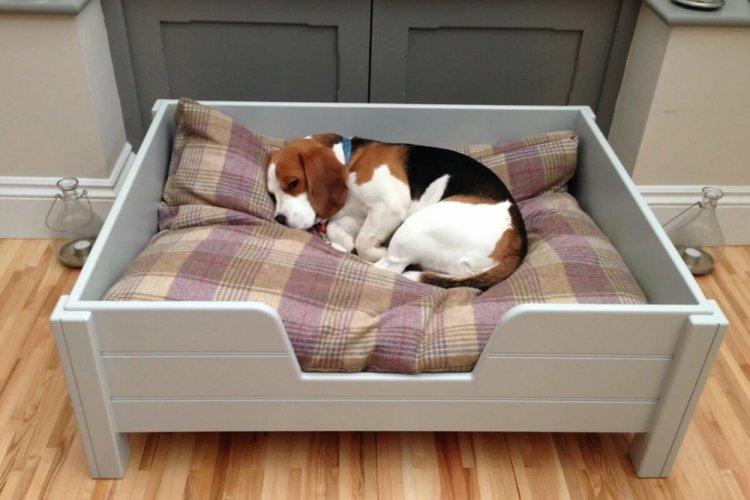 Лежанка для собаки своїми руками – 9 ідей як зробити, інструкція та майстер-класи (фото)