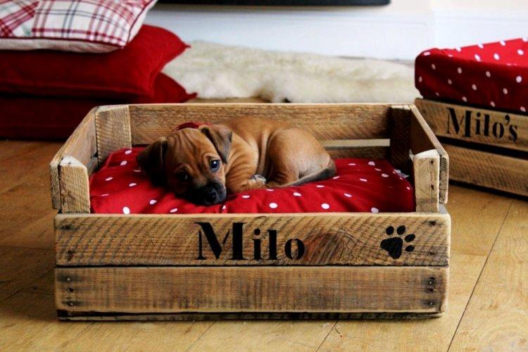 Лежанка для собаки своїми руками – 9 ідей як зробити, інструкція та майстер-класи (фото)