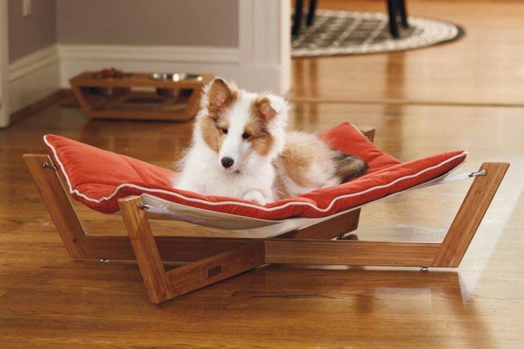 Лежанка для собаки своїми руками – 9 ідей як зробити, інструкція та майстер-класи (фото)