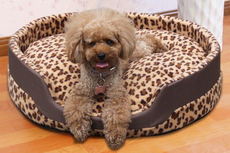 Лежанка для собаки своїми руками – 9 ідей як зробити, інструкція та майстер-класи (фото)