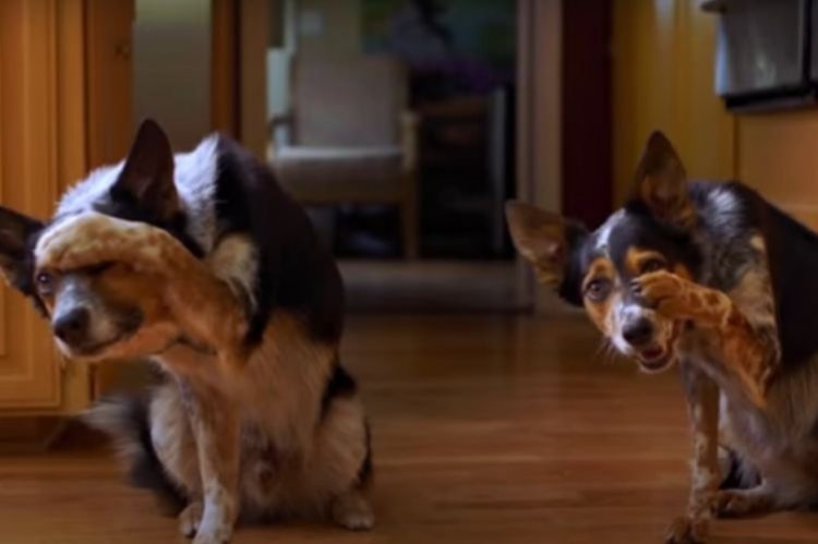 30 найкращих комедій 2022 року, які ви захочете подивитися