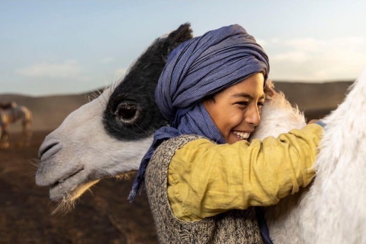 40 найкращих фільмів 2023 року, які варто подивитися