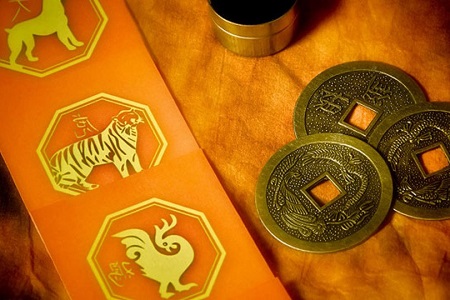 1938 – рік якої тварини і чим вона характеризується?