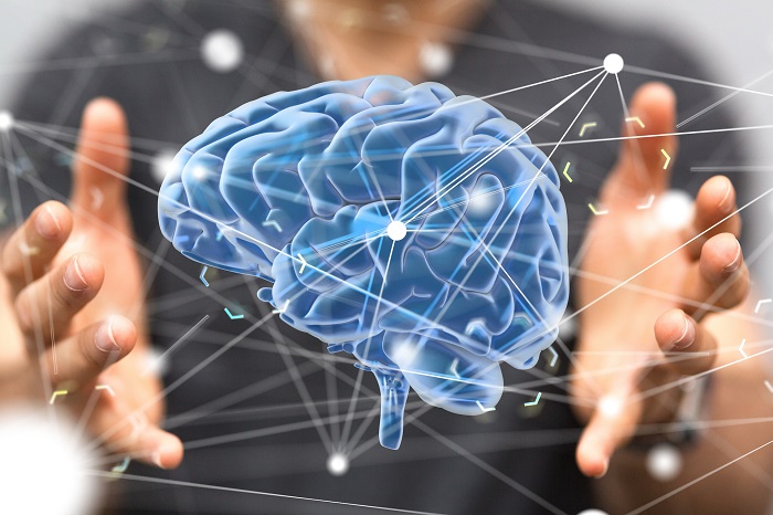 1938 – рік якої тварини і чим вона характеризується?