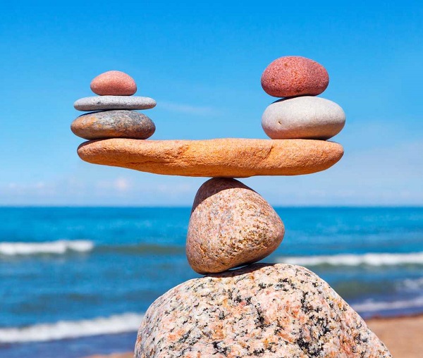 1938 – рік якої тварини і чим вона характеризується?