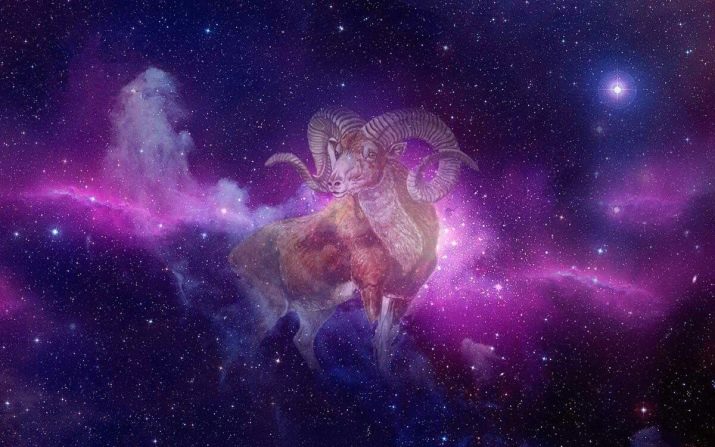 1942 – рік якої тварини і що характерно для її представників?