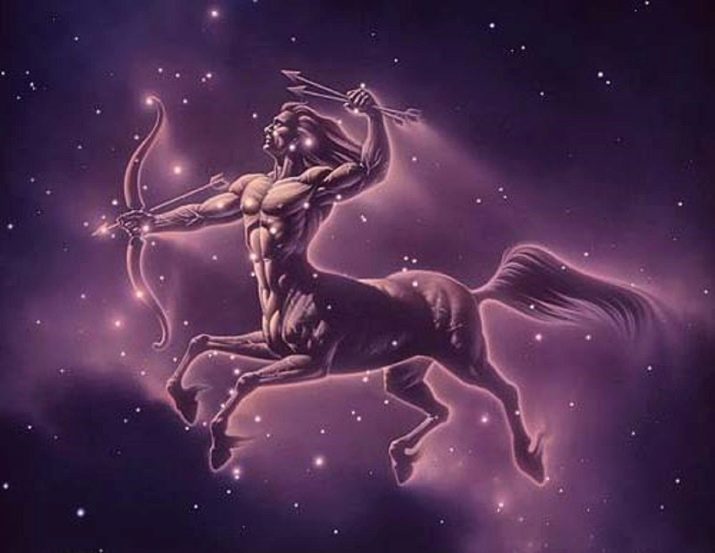 1942 – рік якої тварини і що характерно для її представників?