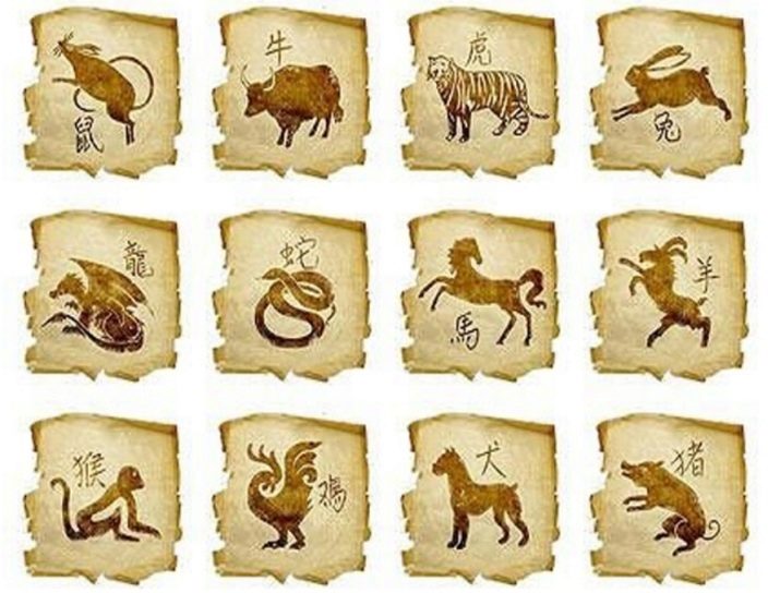 1947 рік якої тварини і які у неї особливості?